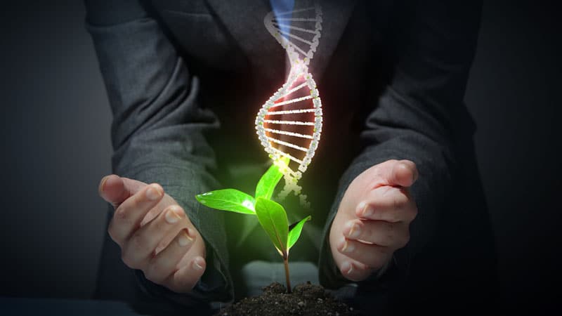 natural-sciences-course_106450_large